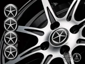 Plymouth Adesivo Silicone Stile Emblemi Cerchio Cupola